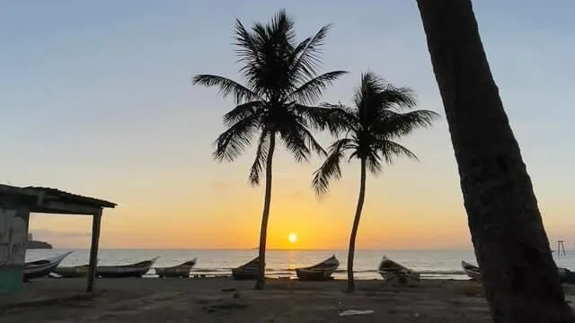 Atardecer con siluetas de palmeras en Isla de Margarita