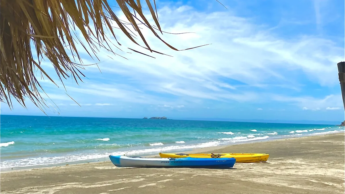 Kayaks en la orilla de la playa