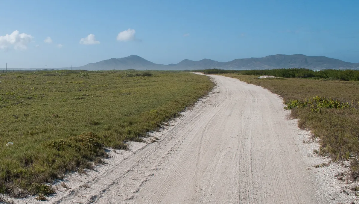 Camino de tierra entre cardonales en la península de Macanao