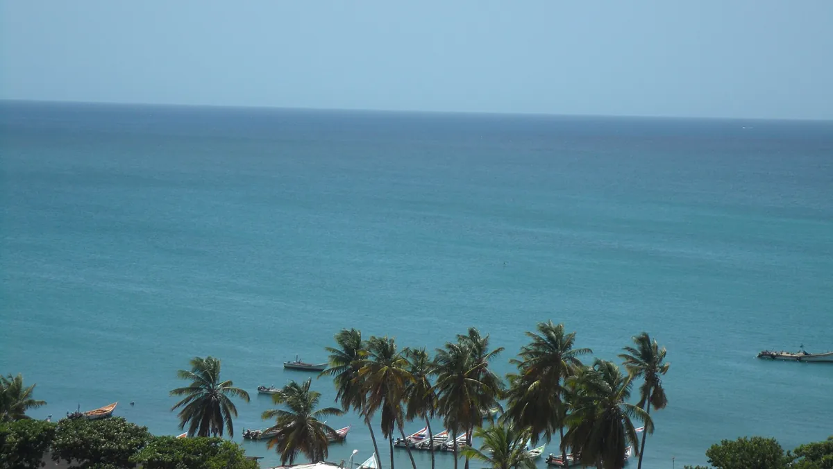 Mar Caribe y palmeras en la costa norte de Margarita