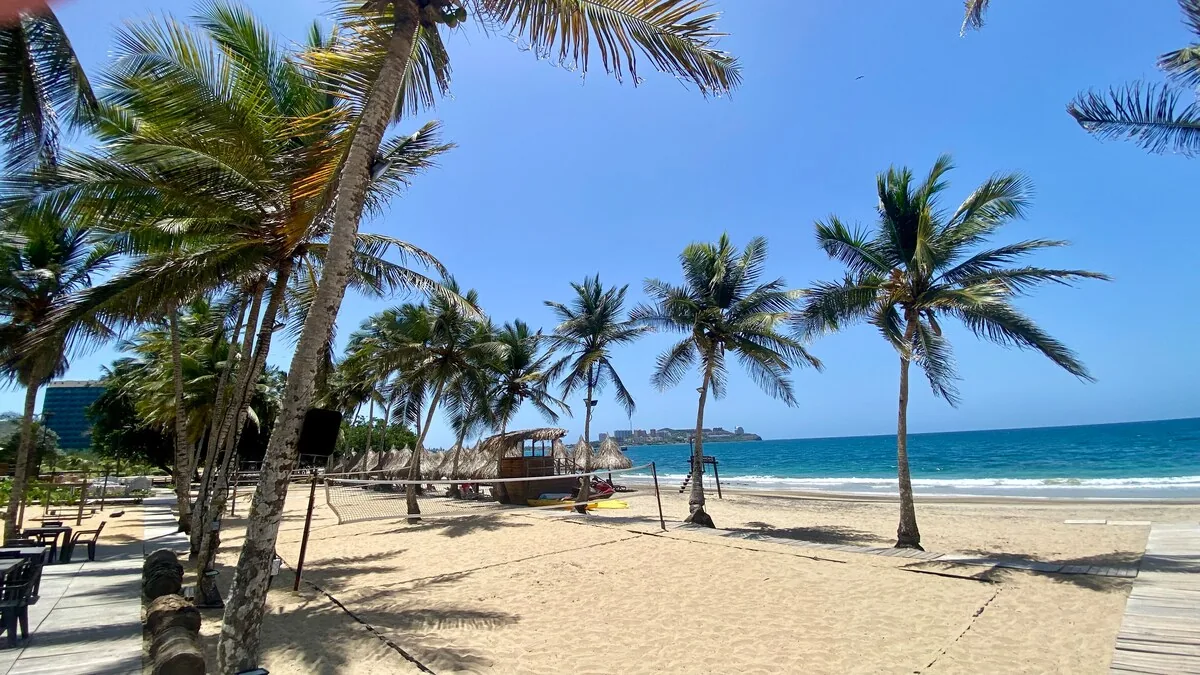 Playa de Pampatar con palmeras y mar azul