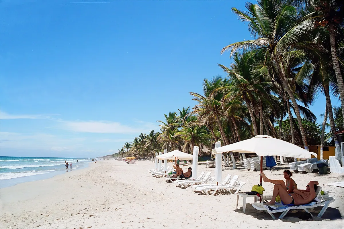 Sun loungers and umbrellas under palm trees on Playa El Agua, Margarita Island